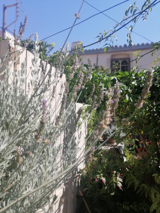 "Eirini" Traditional House Creta Archanes, Αρχάνες Σπίτι Экстерьер фото